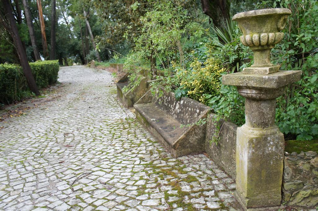 Hôtel Quinta Do Convento à Vila Verde dos Francos Extérieur photo